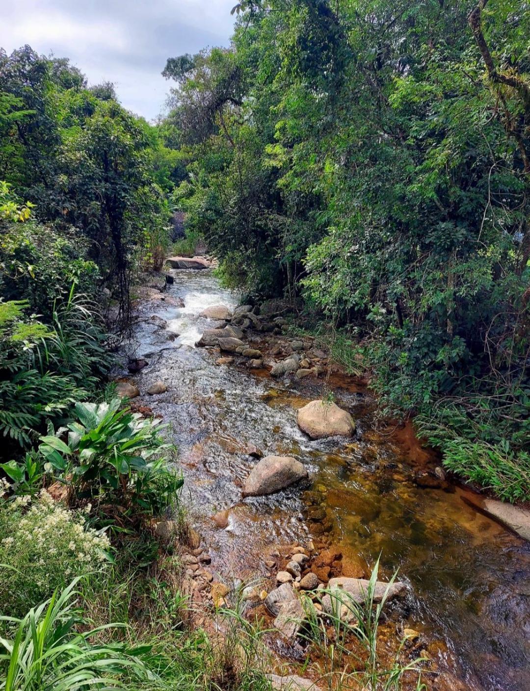 Pousada Sitio Monte Sinai São José do Barreiro Eksteriør bilde