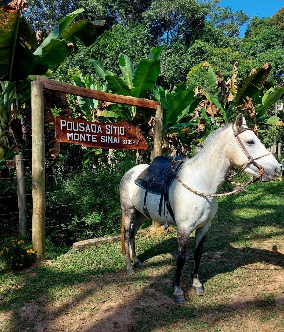 Pousada Sitio Monte Sinai São José do Barreiro Eksteriør bilde
