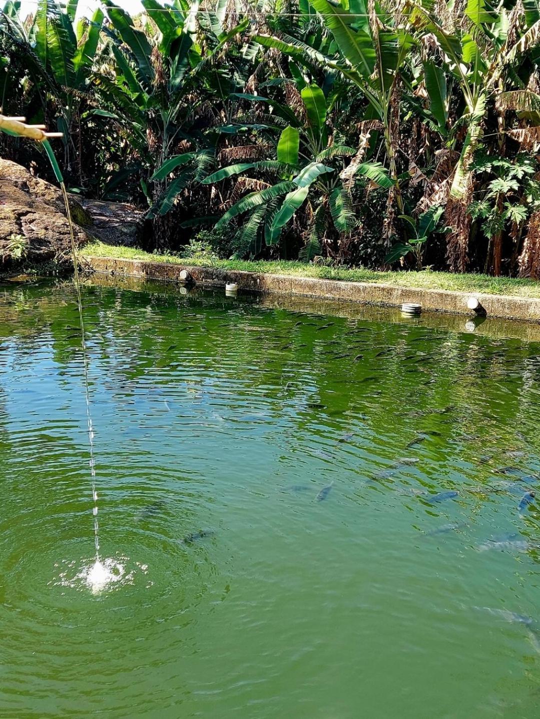Pousada Sitio Monte Sinai São José do Barreiro Eksteriør bilde