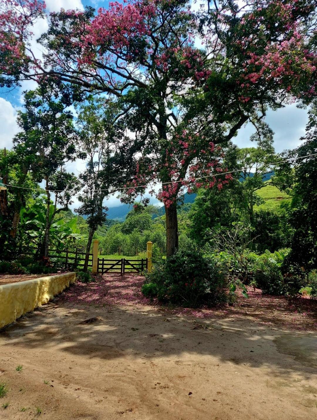 Pousada Sitio Monte Sinai São José do Barreiro Eksteriør bilde